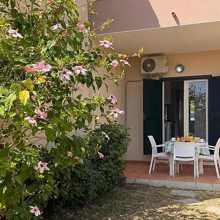 1 Bedroom Amazing In Appartement